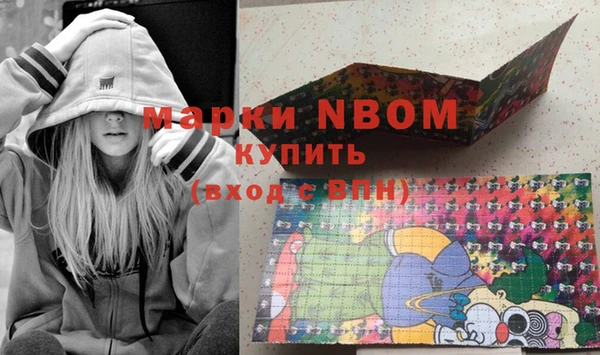 индика Карталы