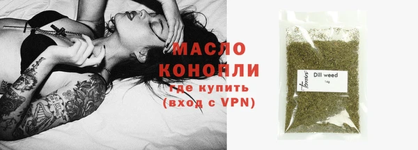 индика Карталы