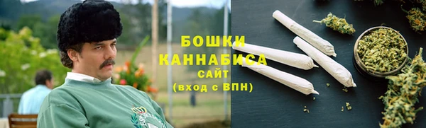 индика Карталы