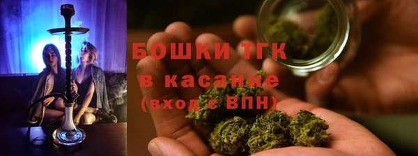 индика Карталы