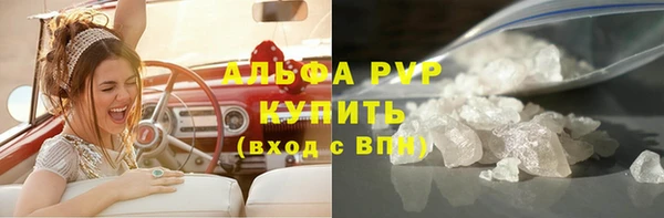 гашик Карпинск