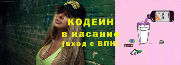 индика Карталы
