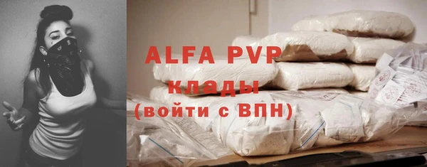 гашик Карпинск