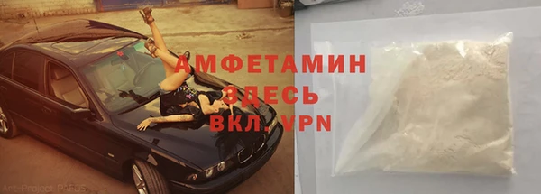 индика Карталы