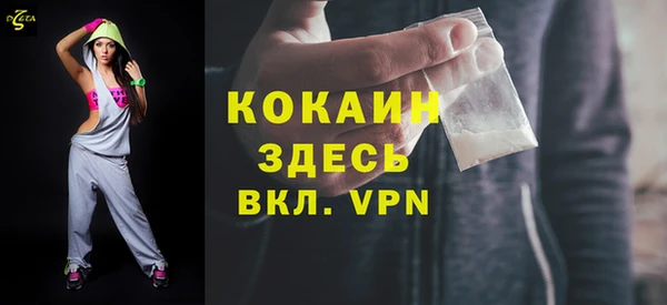 гашик Карпинск