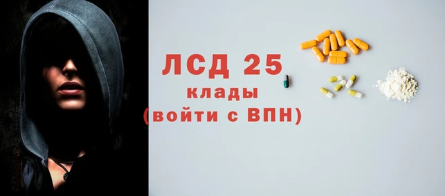 гашик Карпинск