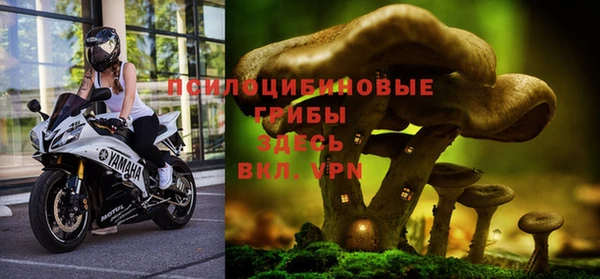 индика Карталы
