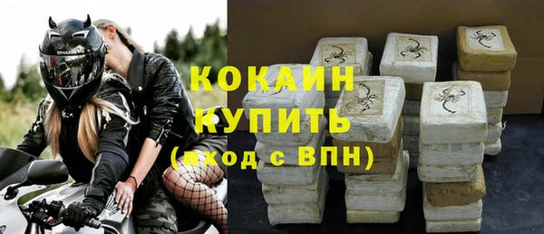 индика Карталы