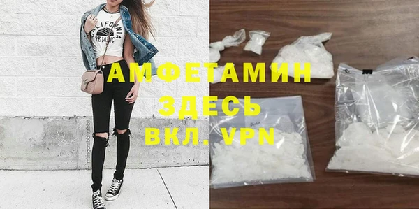 гашик Карпинск