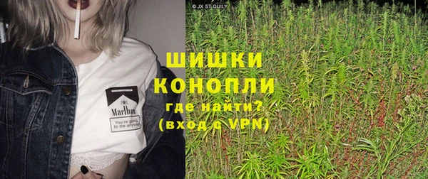гашик Карпинск
