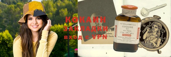 гашик Карпинск